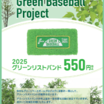 sp-npb-wristband25