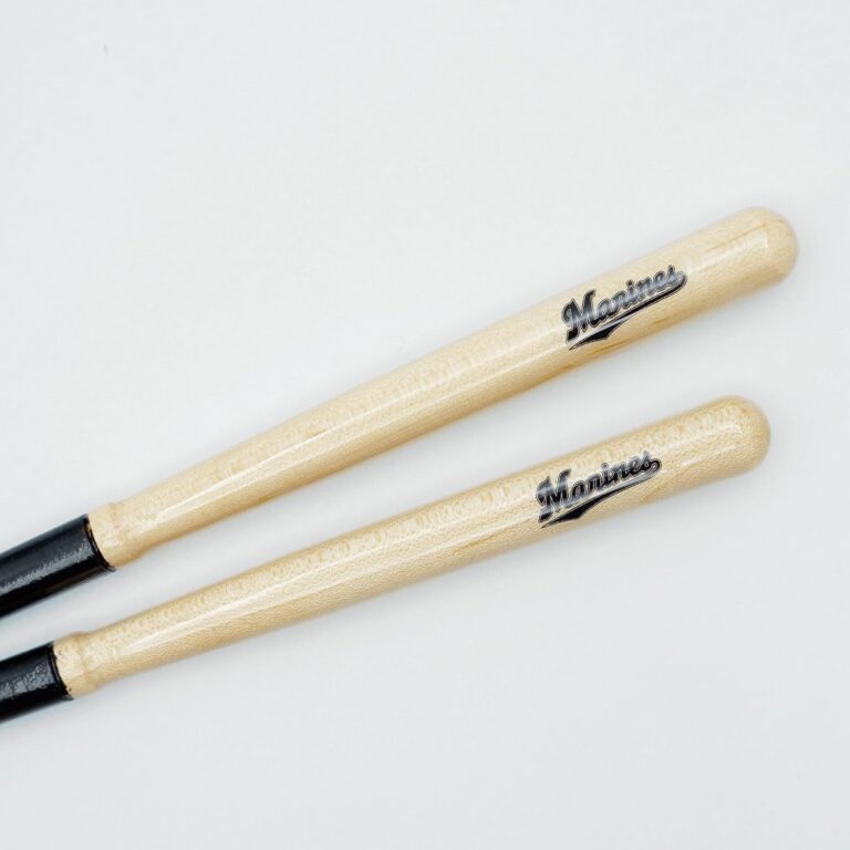 sp-hashilogo-20m